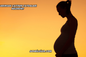 Sarımsak Çayının Faydaları Nelerdir?