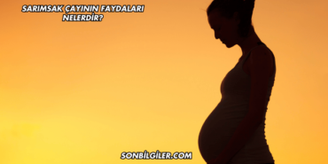 Sarımsak Çayının Faydaları Nelerdir?