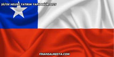 Şili'de Nelere Yatırım Yapılabilir 2025
