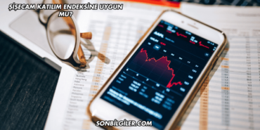 Şişecam Katılım Endeksine Uygun mu?
