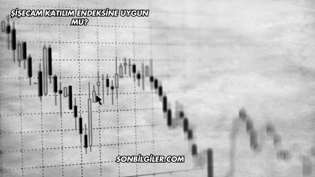 Şişecam Katılım Endeksine Uygun mu?