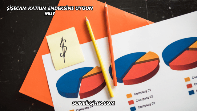 Şişecam Katılım Endeksine Uygun mu?