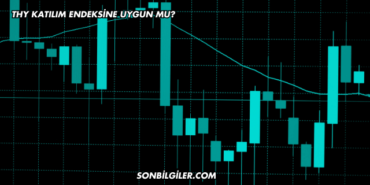 THY Katılım Endeksine Uygun mu?