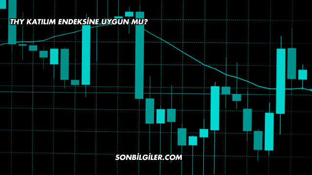 THY Katılım Endeksine Uygun mu?