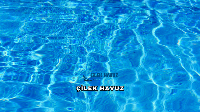 Çilek Havuz’un Kurucusu Kimdir