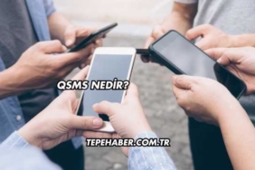QSMS Nedir?