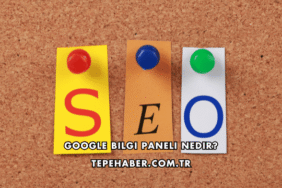 Google Bilgi Paneli Nedir?
