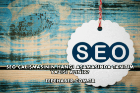 SEO Çalışmasının Hangi Aşamasında Tanıtım Yazısı Alınır?