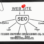 Tanıtım Yazısı SEO'nun Kurtarıcısı mı, Riski mi?